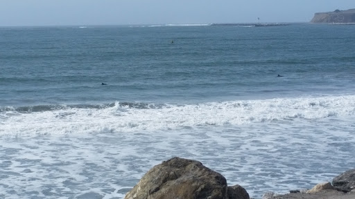 Live Music Venue «Bach Dancing & Dynamite Society», reviews and photos, 311 Mirada Rd, Half Moon Bay, CA 94019, USA