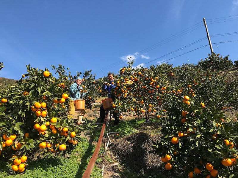 鷲が峰グリーンファーム岩富園