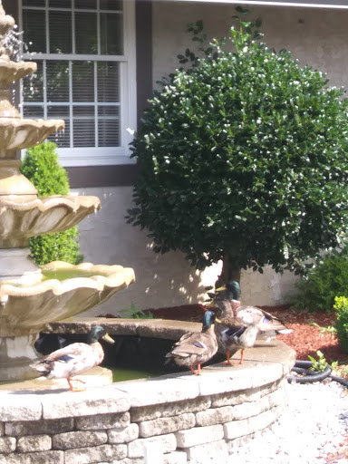 Supermarket «Gokul Indian Supermarket», reviews and photos, 209 S New Rd, Absecon, NJ 08201, USA