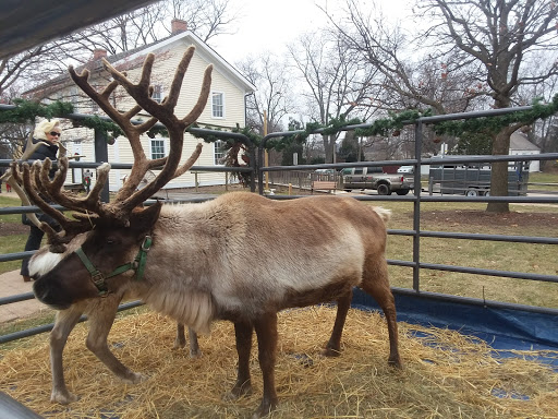 Heritage Museum «Museums at Lisle Station Park», reviews and photos, 921 School St, Lisle, IL 60532, USA