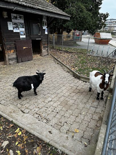 Jardin Robinson Goat Farm