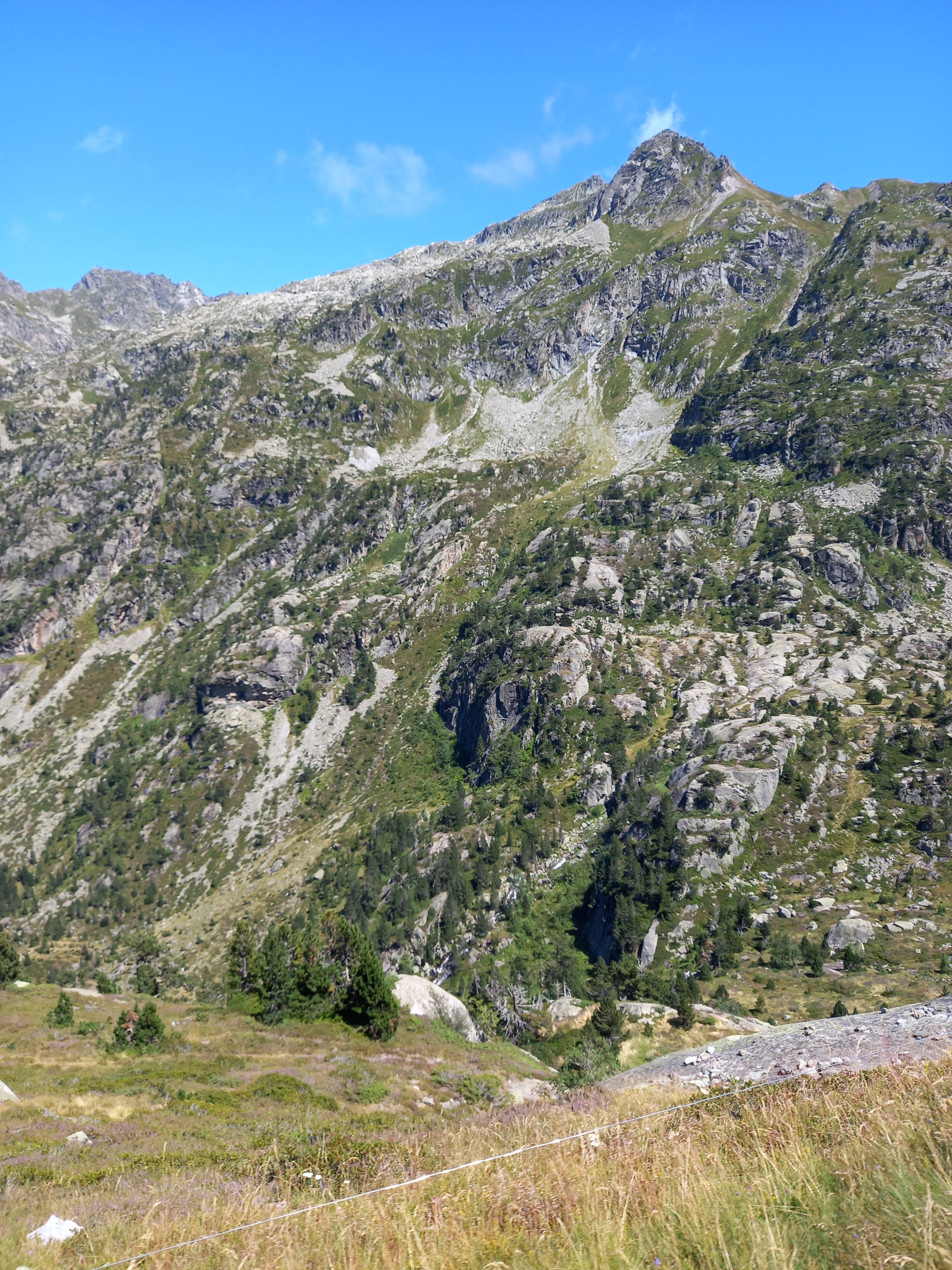 Photo n° 4 de l'avis de Patrice.a fait le 06/08/2023 à 18:05