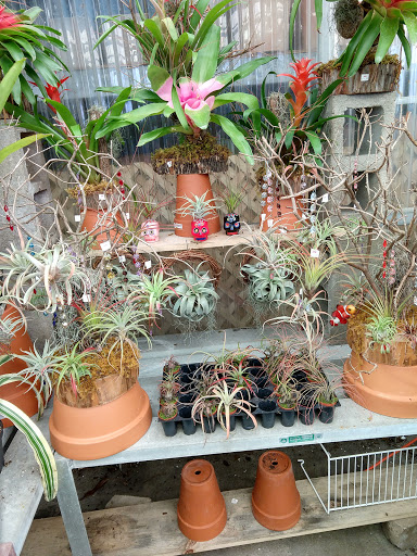 Hardware Store «Proctor Ace Hardware», reviews and photos, 870 A1A N, Ponte Vedra Beach, FL 32082, USA