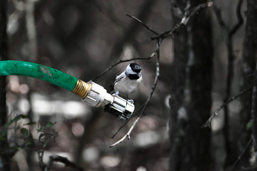 Nature Preserve «Warbler Woods», reviews and photos, 19349 Old Wiederstein Rd, Cibolo, TX 78108, USA