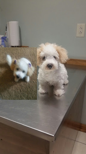 Pet Supply Store «PetSmart», reviews and photos, 271 New Rd, Somers Point, NJ 08244, USA