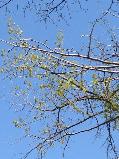 Park «Hudson Crossing Park», reviews and photos, S Harrison St, Oswego, IL 60543, USA