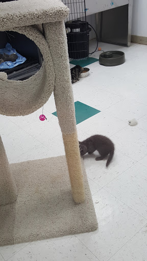 Pet Supply Store «Pet Depot», reviews and photos, 14236 US-431, Guntersville, AL 35976, USA