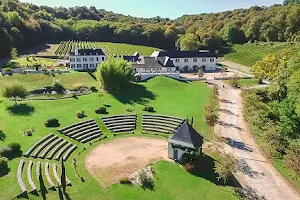 Domaine du Cinquau - Vins de Jurançon et Jurançon Sec - Salles de Réception image