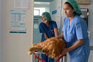 Veterinary Hospital image