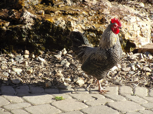 Winery «Strawbale Winery», reviews and photos, 47215 257th St, Renner, SD 57055, USA