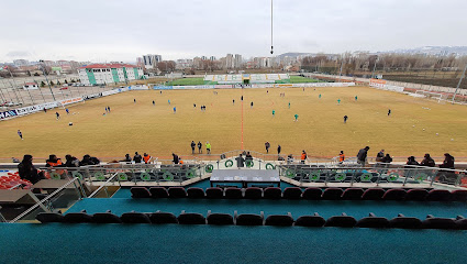 Muhsin Yazıcıoğlu Stadyumu
