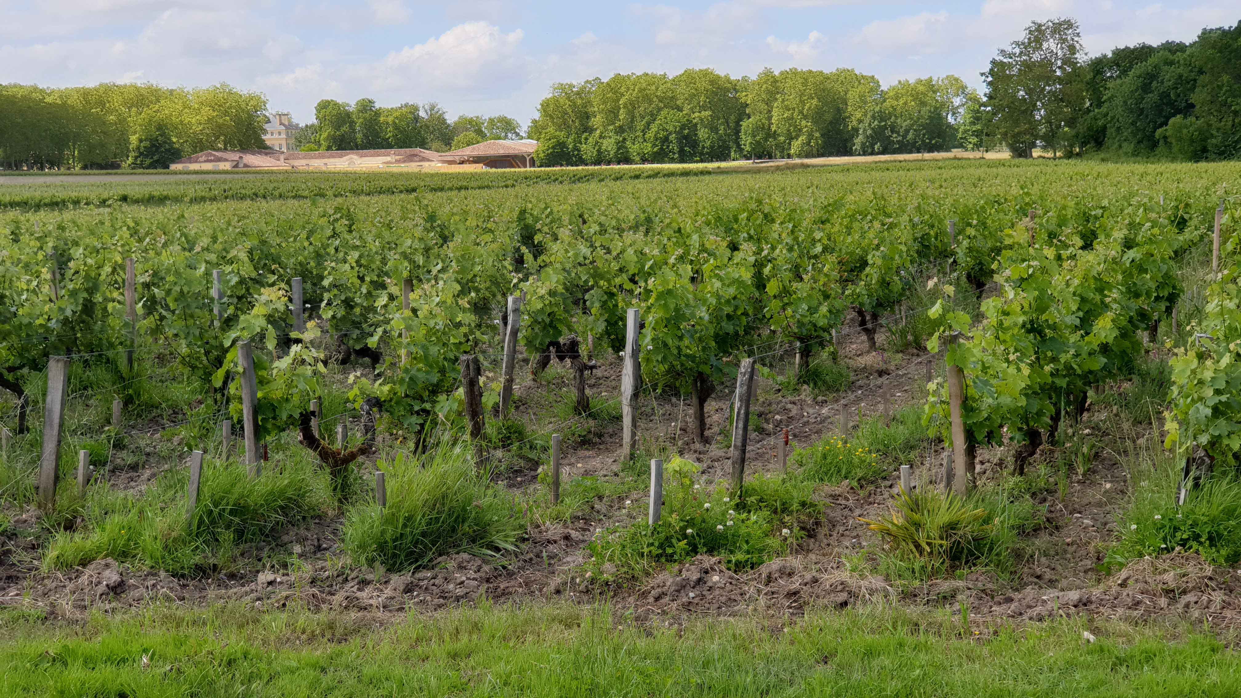 Photo n° 4 de l'avis de ER.B fait le 28/05/2019 à 19:01