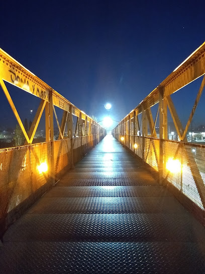 Puente Peatonal de Fierro
