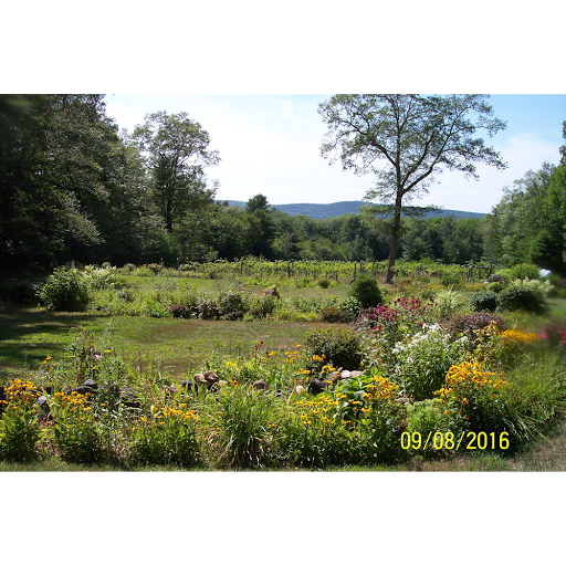 Winery «Queen Bee Vineyard», reviews and photos, 173 Moulton Hill Rd, Monson, MA 01057, USA