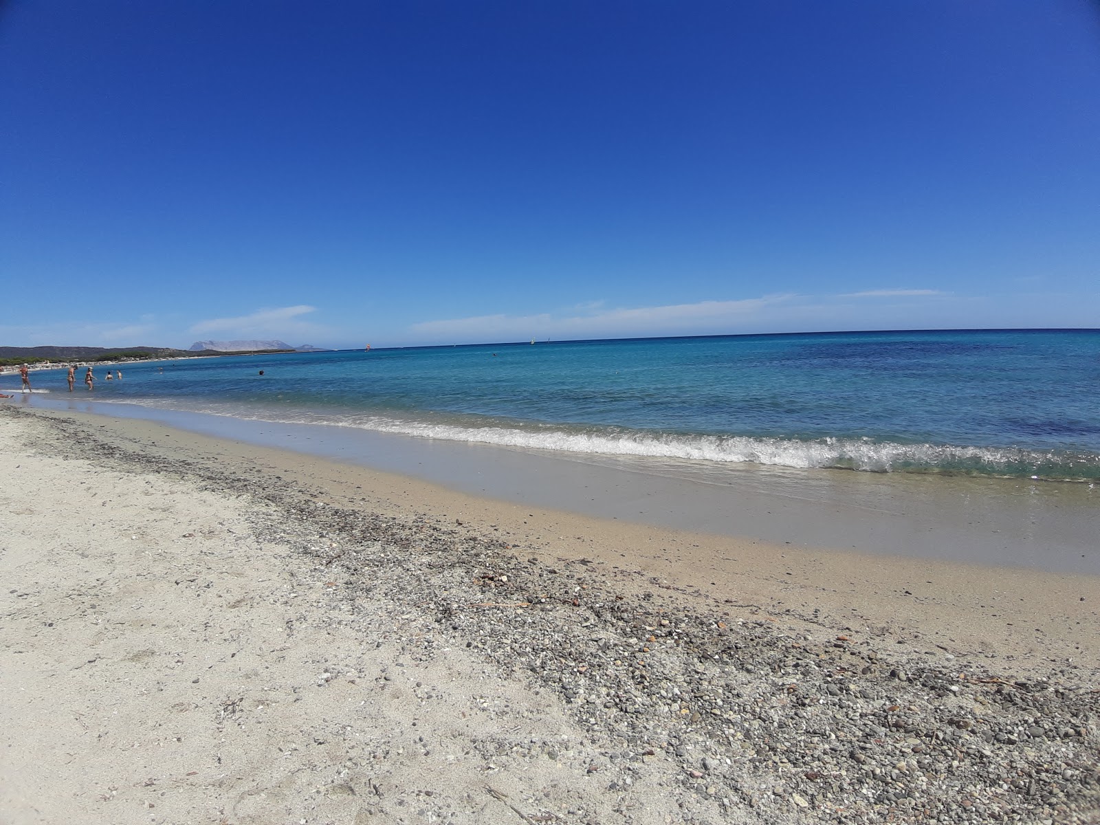 Foto van Spiaggia per Cani met gemiddeld niveau van netheid