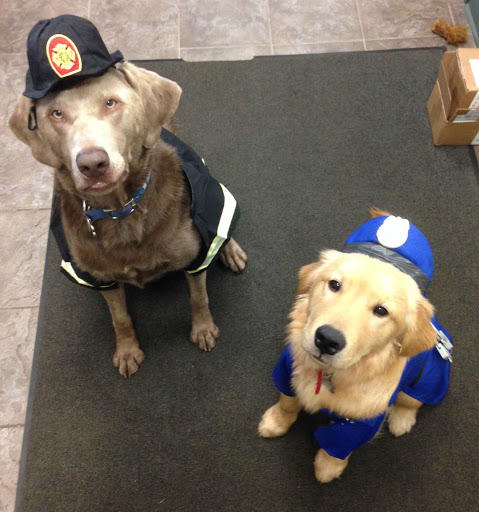 Subaru Dealer «Planet Subaru», reviews and photos, 596 Washington St, Hanover, MA 02339, USA