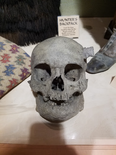 Souvenir Store «Ye Olde Curiosity Shop», reviews and photos, 1001 Alaskan Way, Seattle, WA 98104, USA