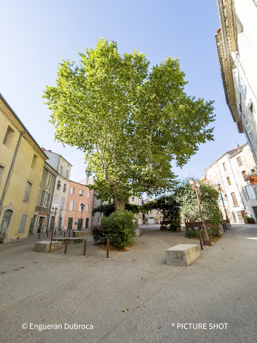 Place Fabre Olivet à Ganges