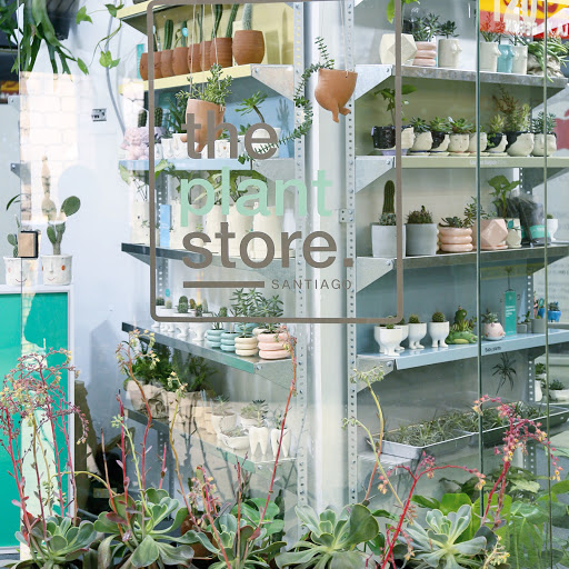 The plant store - Santiago