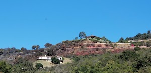 Wendy Park - photo 48