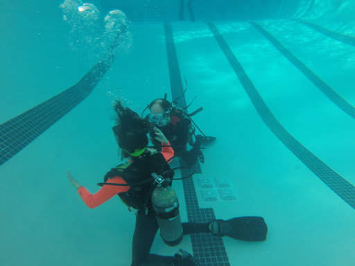 Dive Shop «Orbit Marine Sports Center Inc», reviews and photos, 3273 Fairfield Ave, Bridgeport, CT 06605, USA