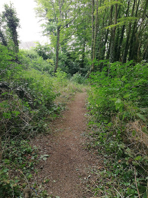 Bois de Camblain à Camblain-Châtelain