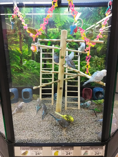 Pet Supply Store «Petco Animal Supplies», reviews and photos, 4491 Kirkwood Hwy, Wilmington, DE 19808, USA