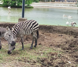 Safari World photo