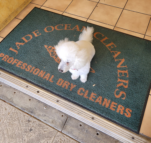 Dry Cleaner «Jade Ocean Cleaners», reviews and photos, 668 N Federal Hwy, Fort Lauderdale, FL 33304, USA