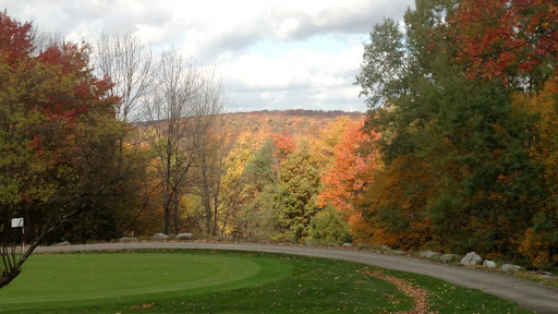 Golf Club «Blueberry Hill Golf Club», reviews and photos, 6528 Cable Hollow Rd, Russell, PA 16345, USA