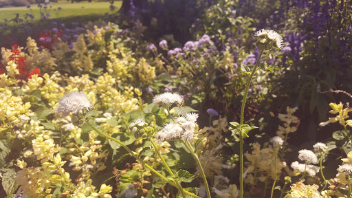 Golf Course «Fox Bend Golf Course», reviews and photos, 3516 US-34, Oswego, IL 60543, USA