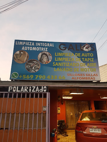 gallos limpieza automotriz - Servicio de lavado de coches