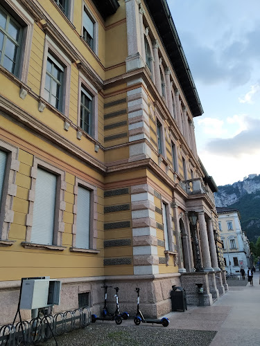 Dipartimento di Sociologia e Ricerca Sociale - Università di Trento