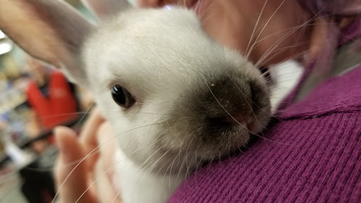 Pet Store «Critters Pet Shop», reviews and photos, Randall Rd, South Elgin, IL 60177, USA