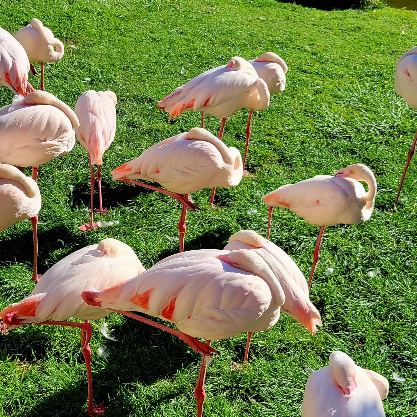 Photo n° 7 de l'avis de Henri.u fait le 24/08/2023 à 07:09