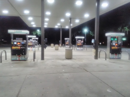 7-Eleven, 13411 Fishhawk Blvd, Lithia, FL 33547, USA, 