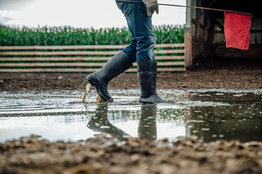 Shoe Store «ELM Shoes», reviews and photos, 13 Center Square, Greencastle, PA 17225, USA