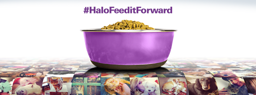 Pet Supply Store «Halo, Purely For Pets», reviews and photos, 12400 Race Track Rd, Tampa, FL 33626, USA