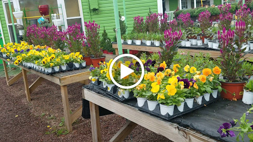 Florist «Dutch & Olgas Greenhouse», reviews and photos, 1285 NJ-36, Hazlet, NJ 07730, USA