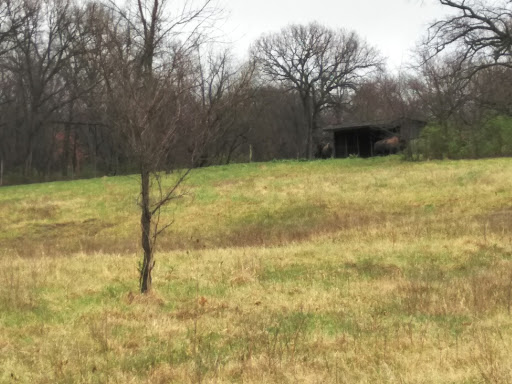 Golf Course «Hodge Park Golf Course», reviews and photos, 7000 NE Barry Rd, Kansas City, MO 64156, USA