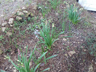 Murt Tarimsal Yayim Ve Danışmanlık hizmetleri