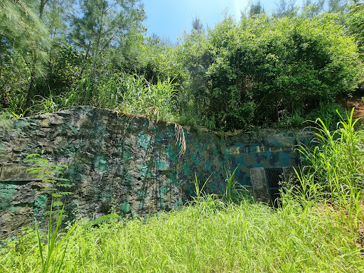 Top 20 cửa hàng akemi Huyện Lý Sơn Quảng Ngãi 2022