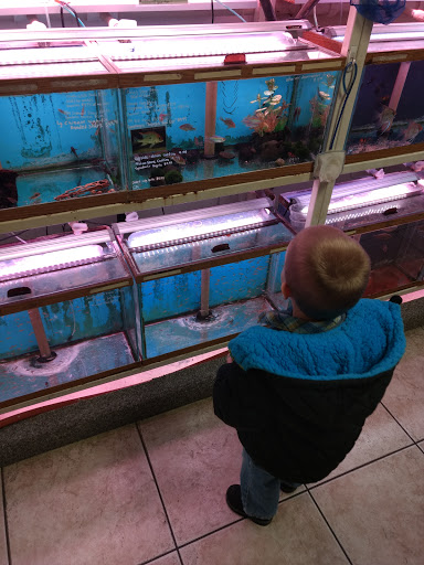 Pet Store «Animal Ark Pet Stores», reviews and photos, 33 Center St, Orem, UT 84057, USA