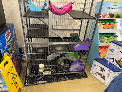 Pet Supply Store «Pet Supplies Plus», reviews and photos, 6675 Grand Ave, Gurnee, IL 60031, USA