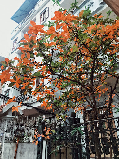 Sản Xuất TVC Quảng Cáo - VietArt Productions