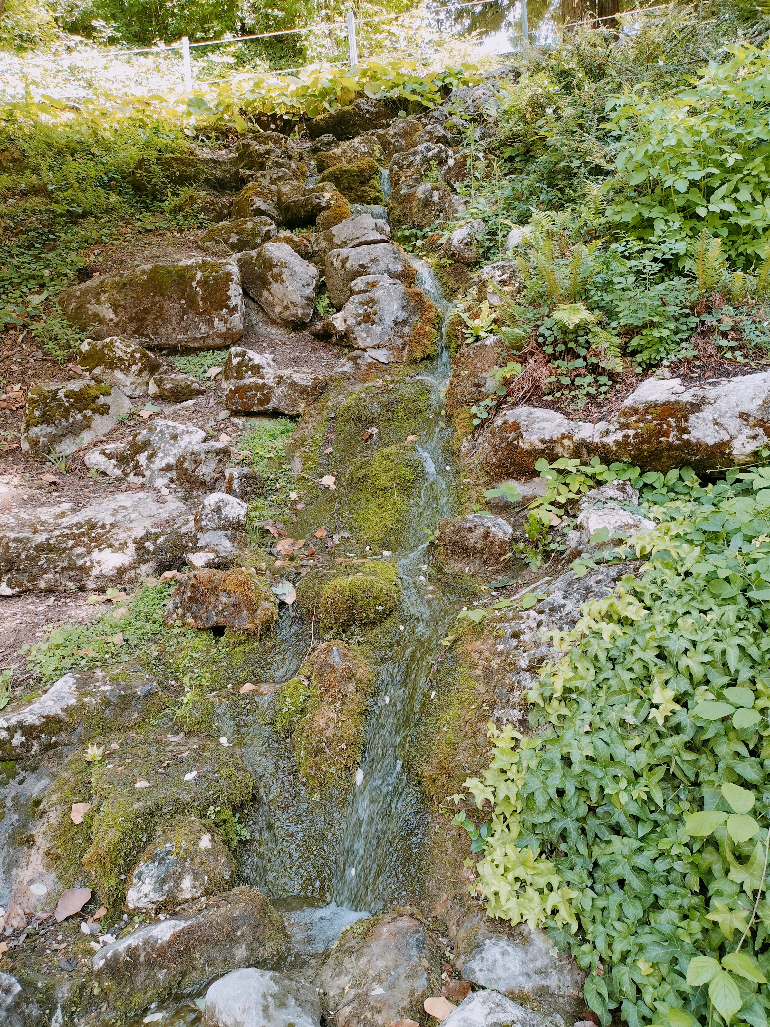 Photo n° 3 de l'avis de Alicia.� fait le 04/08/2023 à 17:36