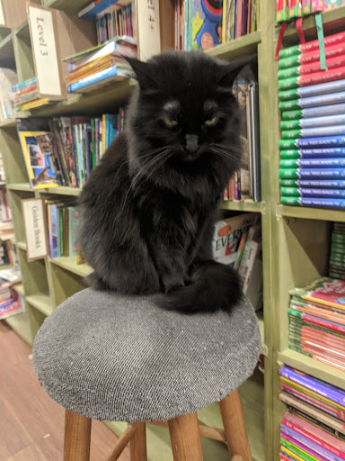 Used Book Store «Recycle Bookstore», reviews and photos, 1066 The Alameda, San Jose, CA 95126, USA