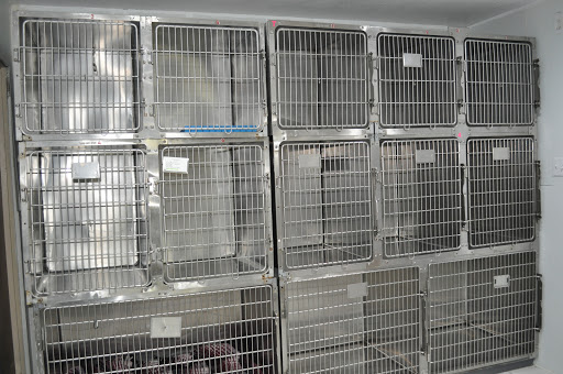 Nohl Ranch Animal Hospital - 6