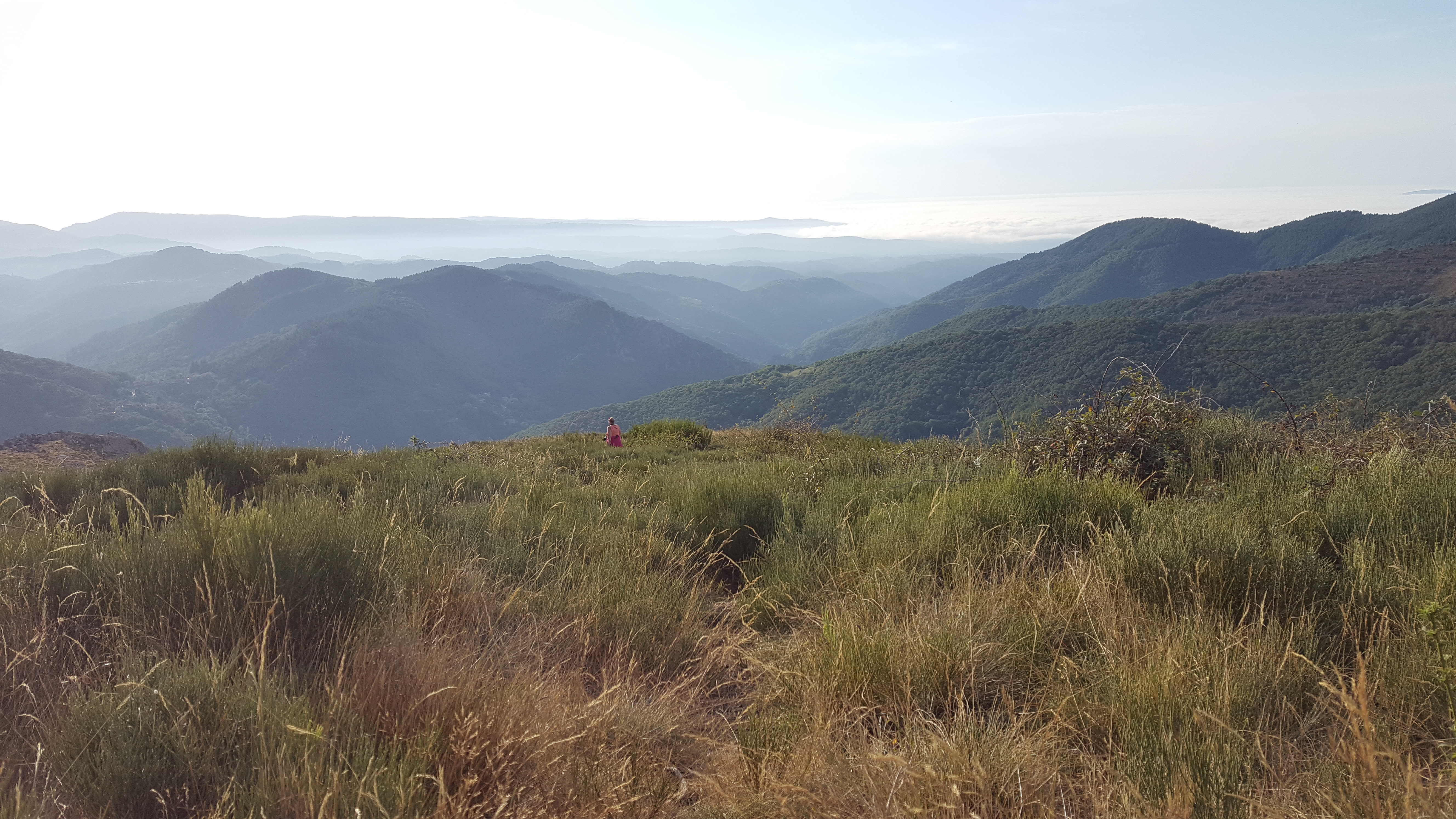 Photo n° 29 de l'avis de Joël.a fait le 24/08/2017 à 07:11