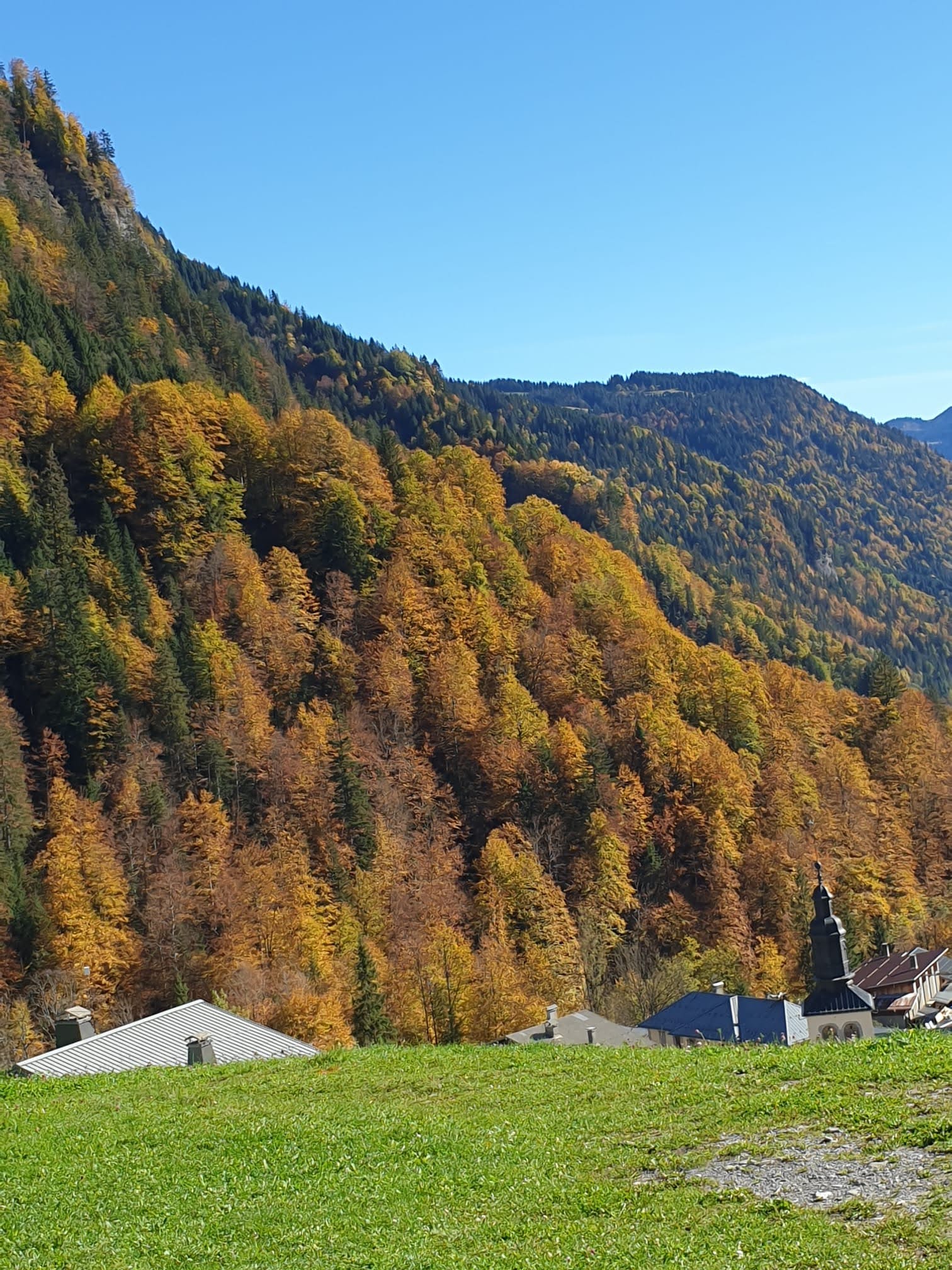 Photo n° 26 de l'avis de Jan.e fait le 21/10/2022 à 15:29